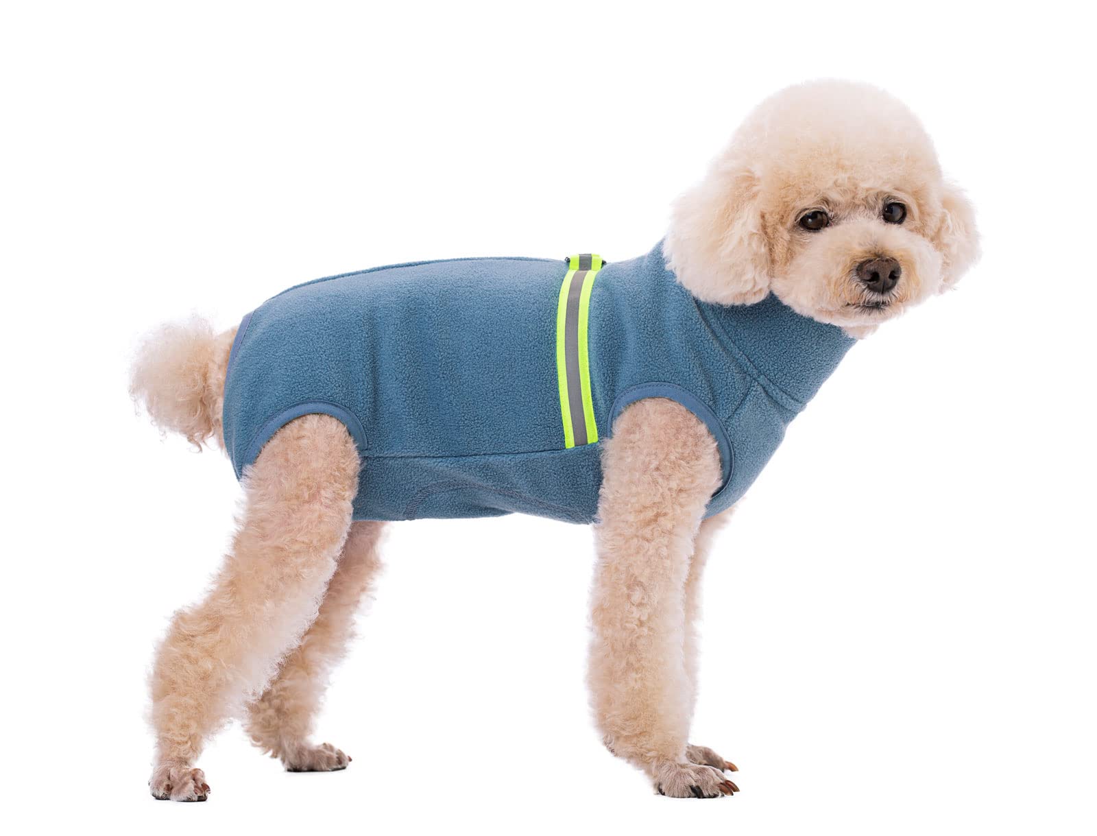 BT Bear Cosy Polar Fleece Coat for Dogs, Full body Jacket, Dogs Onesie With D Ring, Zipper with Reflective Jumpsuit, Winter Clothes for Pet Dog Outdoor or Indoor Small Medium Dogs (Haze Blue, XXL)