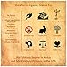 Shea Terra Organics Kalahari Melon Cold Pressed Extra Virgin Oil | Moisture Protection, Anti-Aging, Vitamin E Oil | Oily/Combination Skin Types - 2 oz
