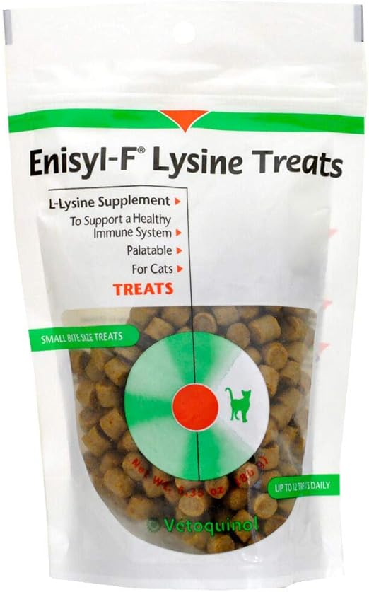 why is my dog eating grass and vomiting