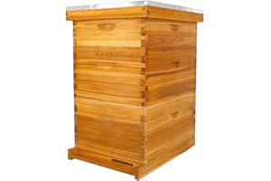 Thxbees 10-Frame Langstroth Bee Hive Complete Bee Hive Kit Beeswax Coated Include Beehive Frames and Waxed Foundation Sheets for Beekeeper (2 Deep Beehives Box & 1 Medium Box)