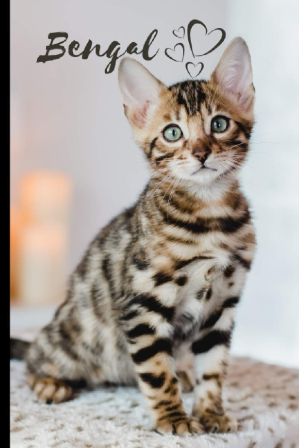 Bengal Cat Notebook For Cat Lovers: Composition Notebook 6x9" Blank Lined Journal