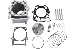 NEWZQ 686cc Big Bore Piston Cylinder Kit Replacement for Yamaha Raptor 660R 2001-2005 Yamaha Grizzly 660 2002-2008 Yamaha Rhino 660 2004-2007 102mm3YF-11310-01 93450-24028-00