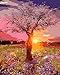 TianMaiGeLun Paint by Number Kits Sunrise View Fairy Tree 16x20 inch Linen Canvas Paintworks - Digital Oil Painting Canvas Kits for Adults Children Kids Decorations Gifts (880, No Frame)