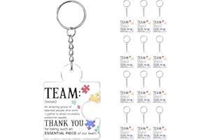 Team Appreciation Gifts Bulk for Coworkers Employee, Set of 12 Teamwork Gifts Thank You Keychain for Staff Colleagues Teacher