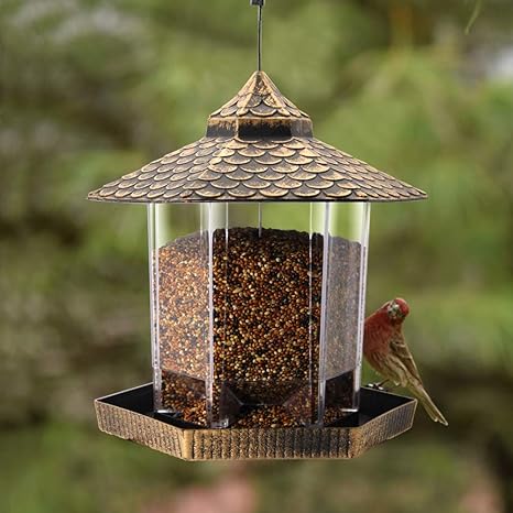 H Potter Fly Thru Bird Feeder 528 Amazon In Garden Outdoors