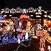 Joomer 200 LED String Battery Christmas Lights (Multi-Color), Multicolor
