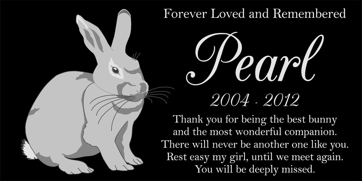 types of pet lizards for beginners