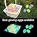 Glow in the Dark Easter Eggs (12) - Give Your Kids an Amazing [Christian/ Religious] Easter Egg Hunt Game/ Toy - Make Easter Sunday Unforgettable