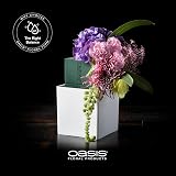 Oasis Floral Foam Brick Florist Foam Block for Flowers Pack of 1 view 5