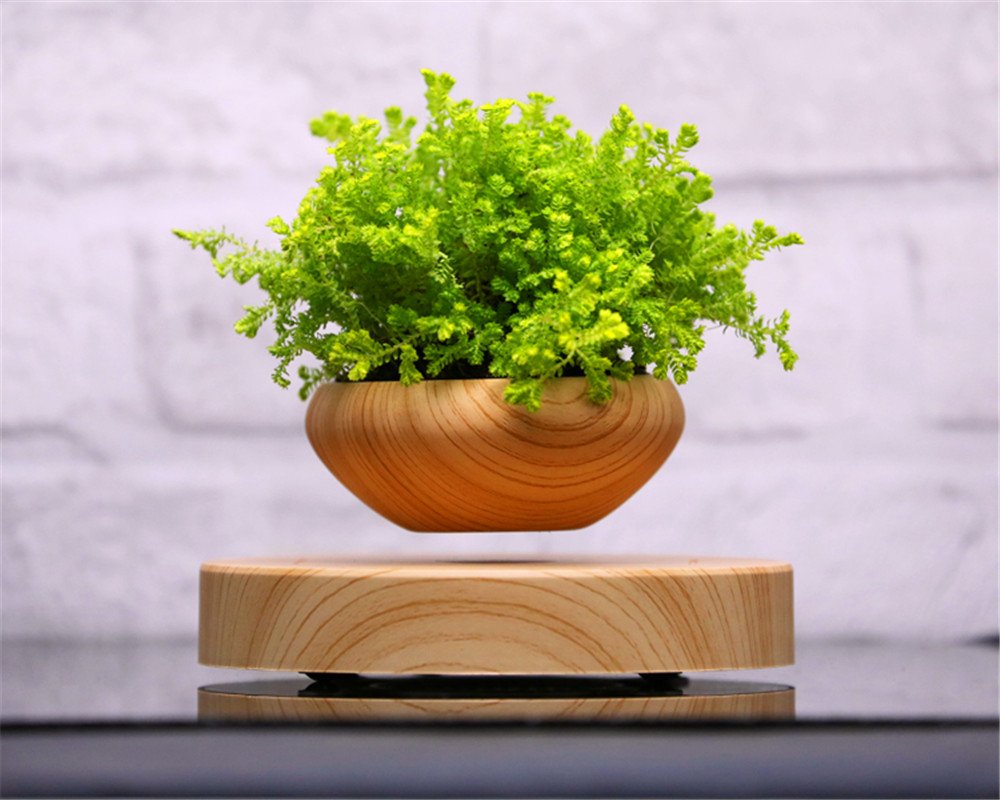 Magnetic Levitation Air Bonsai