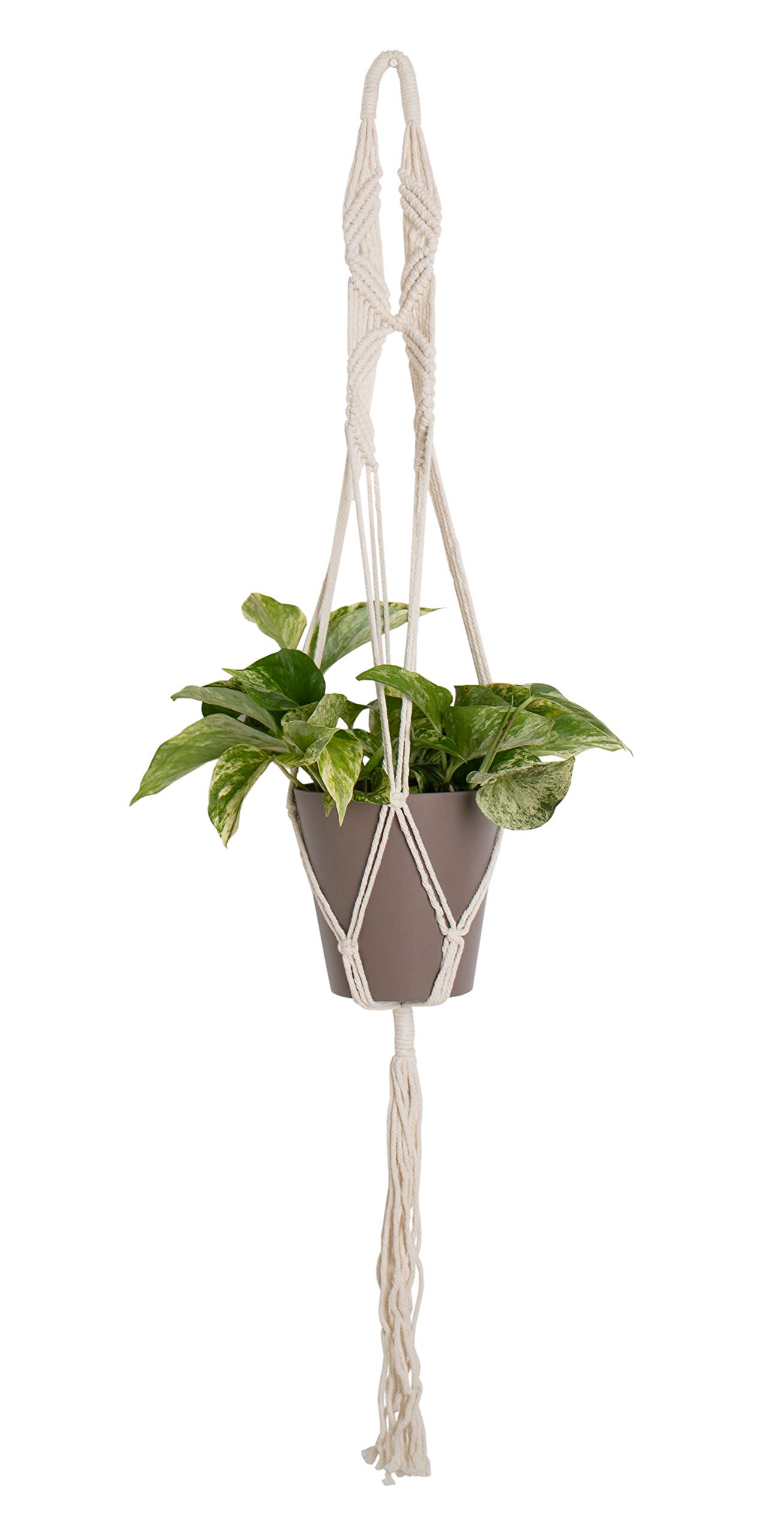 Artevasi Macrame Plant Hanger, Cotton, White