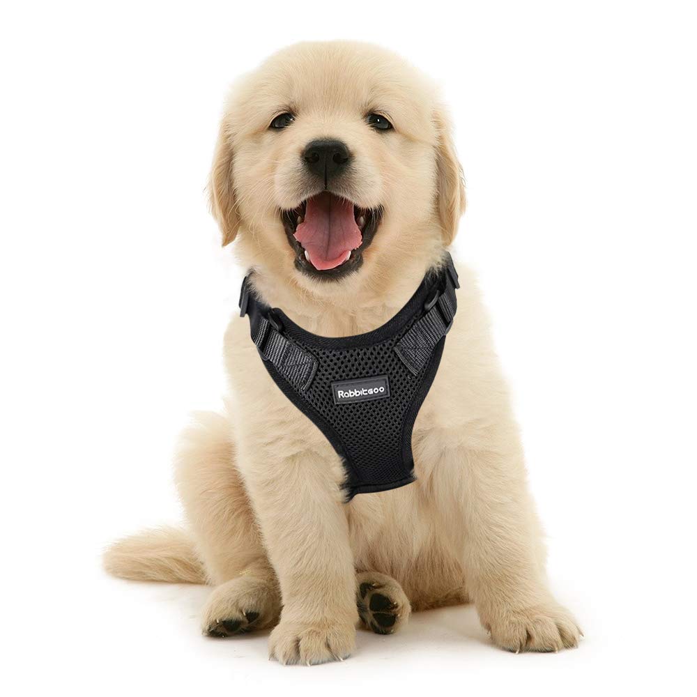 Rabbitgoo Escape Proof Cat Harness Small Dogs Mesh Vest Harnesses