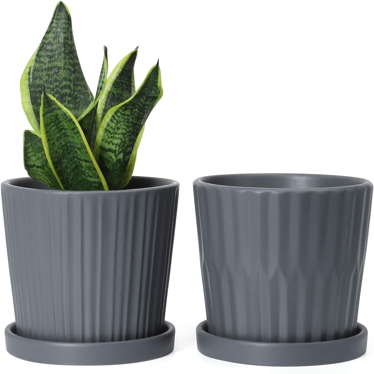 Amazon.com: Medium Plant Pots - 6 Inch 