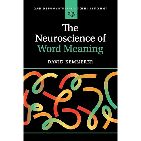 The Cultural Studies Reader: During, Simon: 9780415137546: Amazon