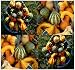 30 LARGE & SMALL MIX Gourds seeds - 15 DIFFERENT TYPES Bushel Dipper Shenot Swan