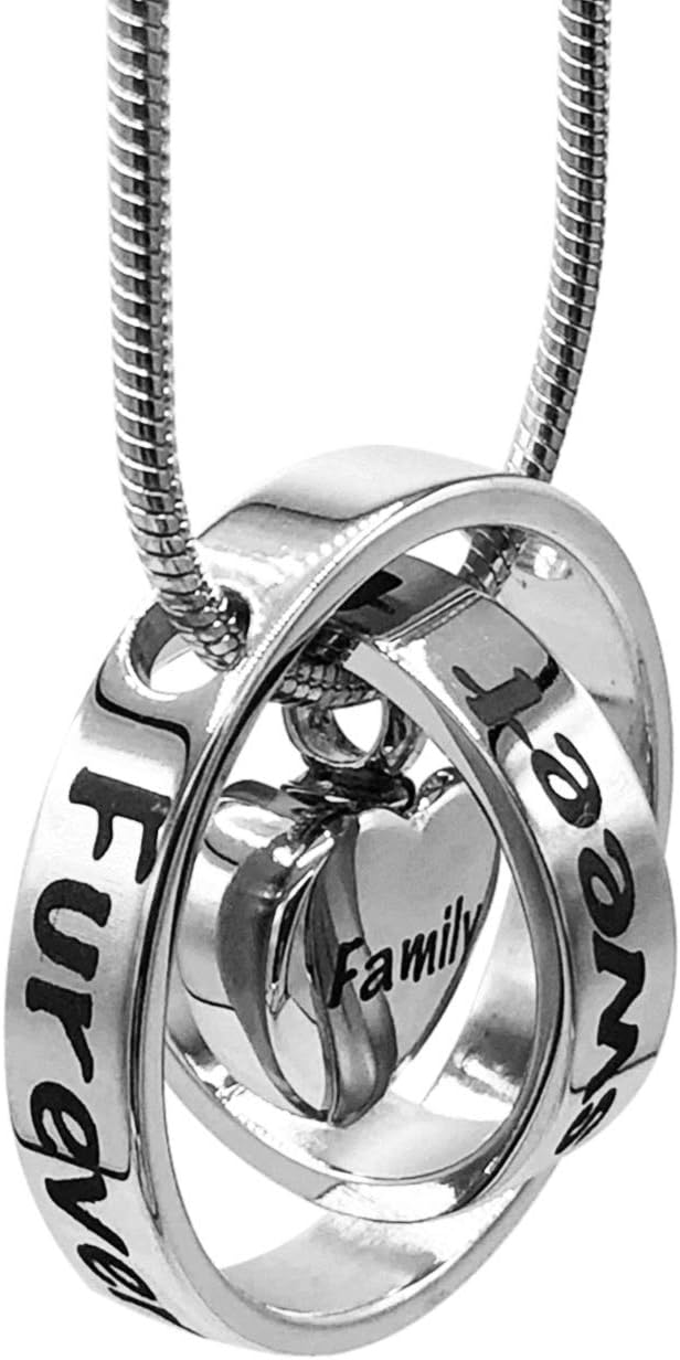 Loss of Pet Gifts Stainless Steel Pets are Family Urn Cremation Jewelry Heart Keepsake Necklace for Dog Cat Womens and Mens Jewelry