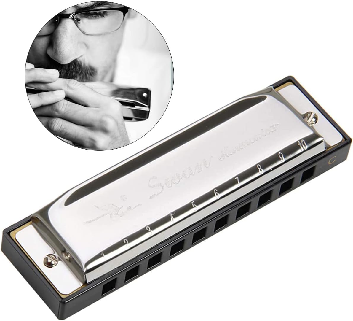 Professional Harmonica 10 Hole 20 Tones Standard Stainless Steel Blues