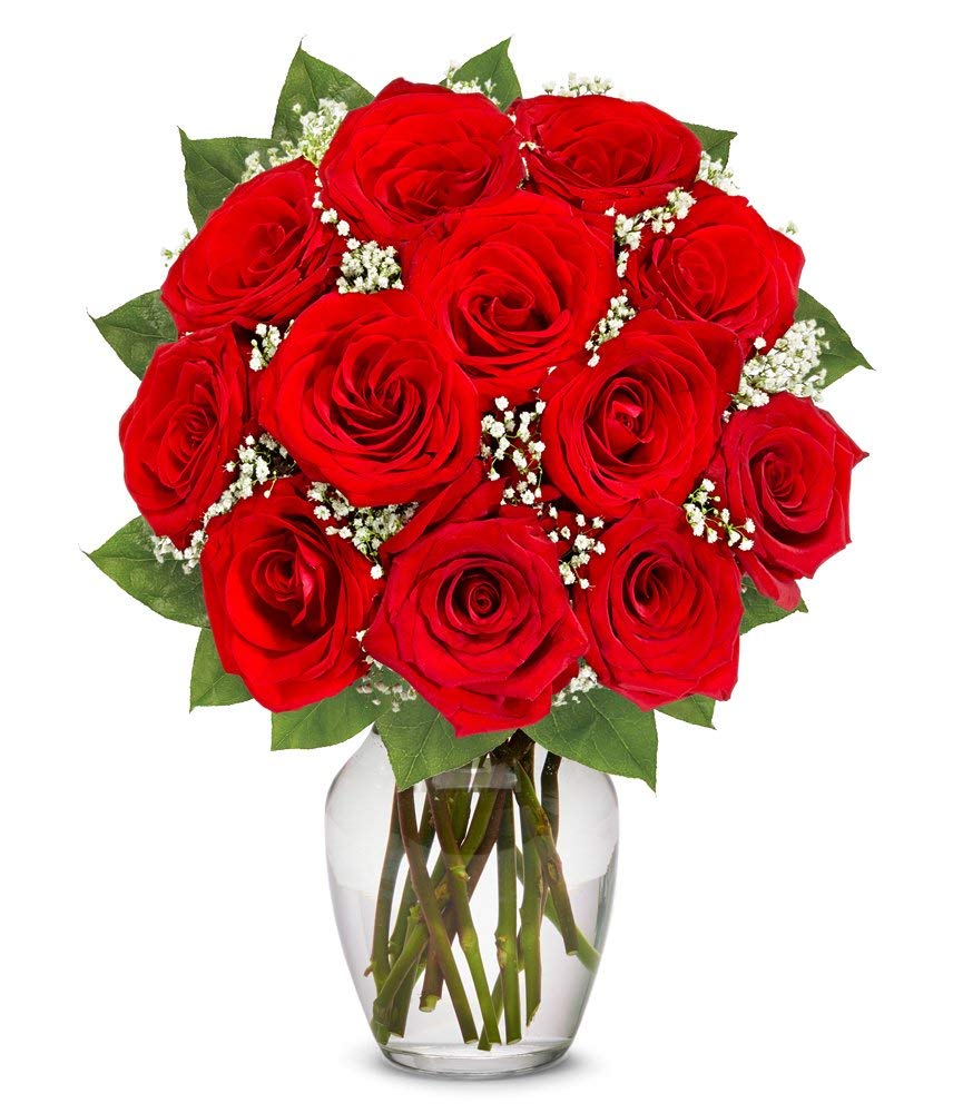 Amazon Com Flowers One Dozen Long Stemmed Red Roses Free Vase