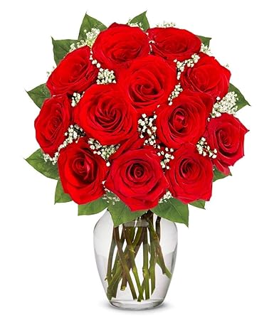 Amazon Com Flowers One Dozen Long Stemmed Red Roses Free Vase