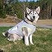 SGODA Dog Cooling Vest Harness Cooler Jacket Grey Green X-Large