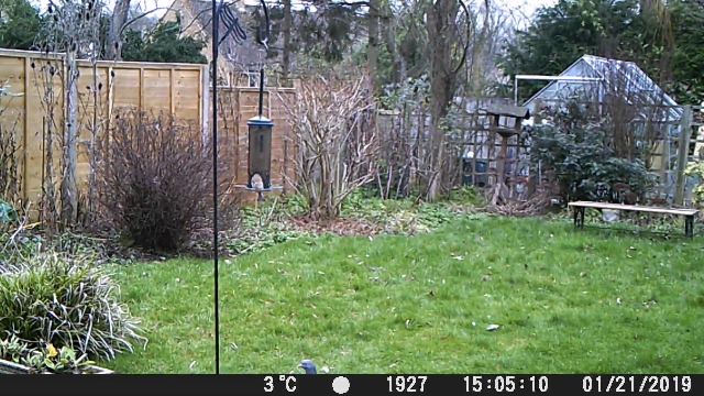 6 Victure+Activated+Waterproof+Wildlife+Surveillance