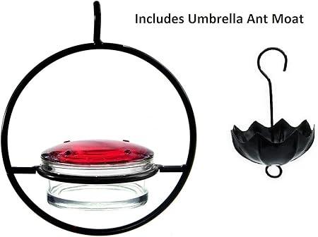 Amazon Com Glass Hummingbird Feeder With Metal Parasol Umbrella