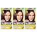 Garnier Nutrisse Nourishing Hair Color Creme, 61 Light Ash Brown (Mochaccino), 3 Count (Packaging May Vary)
