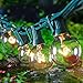 Globe String Light with G40 Clear Bulbs - UL Listed, Outdoor, Indoor, 25 foot, Green Wire