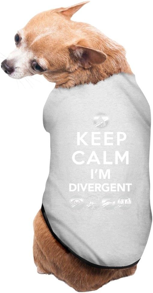 PuppyFasion Keep Calm And I Am Divergent Cute Pet Dog Vest Gray