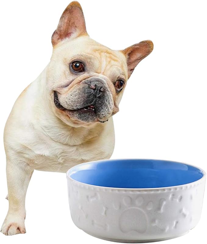 indestructible dog water bowl