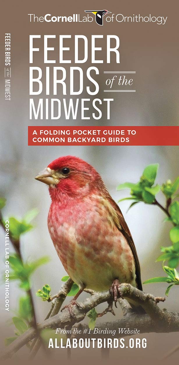 Buy Feeder Birds Of The Midwest A Folding Pocket Guide To Common