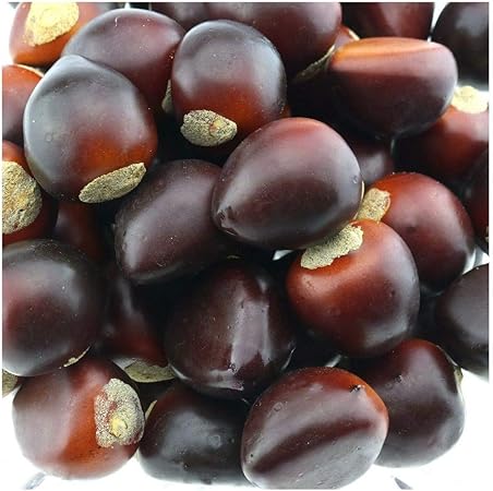 Gresorth 50 Pcs Artificiel Chataigne Faux Des Noisettes Realiste Modele Accueil Cuisine Decoration Amazon Fr Cuisine Maison