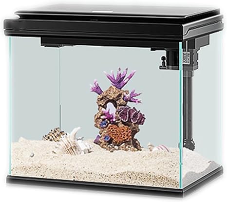Amazon Co Jp 小さなガラスの生態学的な水槽 居間とオフィスのデスクトップの金の水槽 無料の水造園水槽水族館 黒 ホーム キッチン