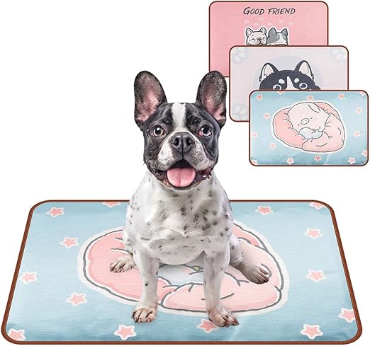 Lenda Para Dormir Animal De Estimacao Desenho Desenho Desmontavel Cachorro Legal Tapete Para Dormir Pet Almofada Para O Verao Amazon Com Br Pet Shop