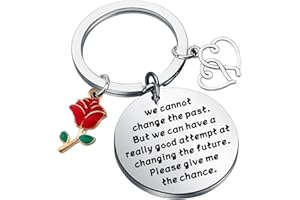 SEIRAA Apology Gift Forgive Me Gifts to Say You're Sorry for Him Her We Cannot Change the Past Keychain