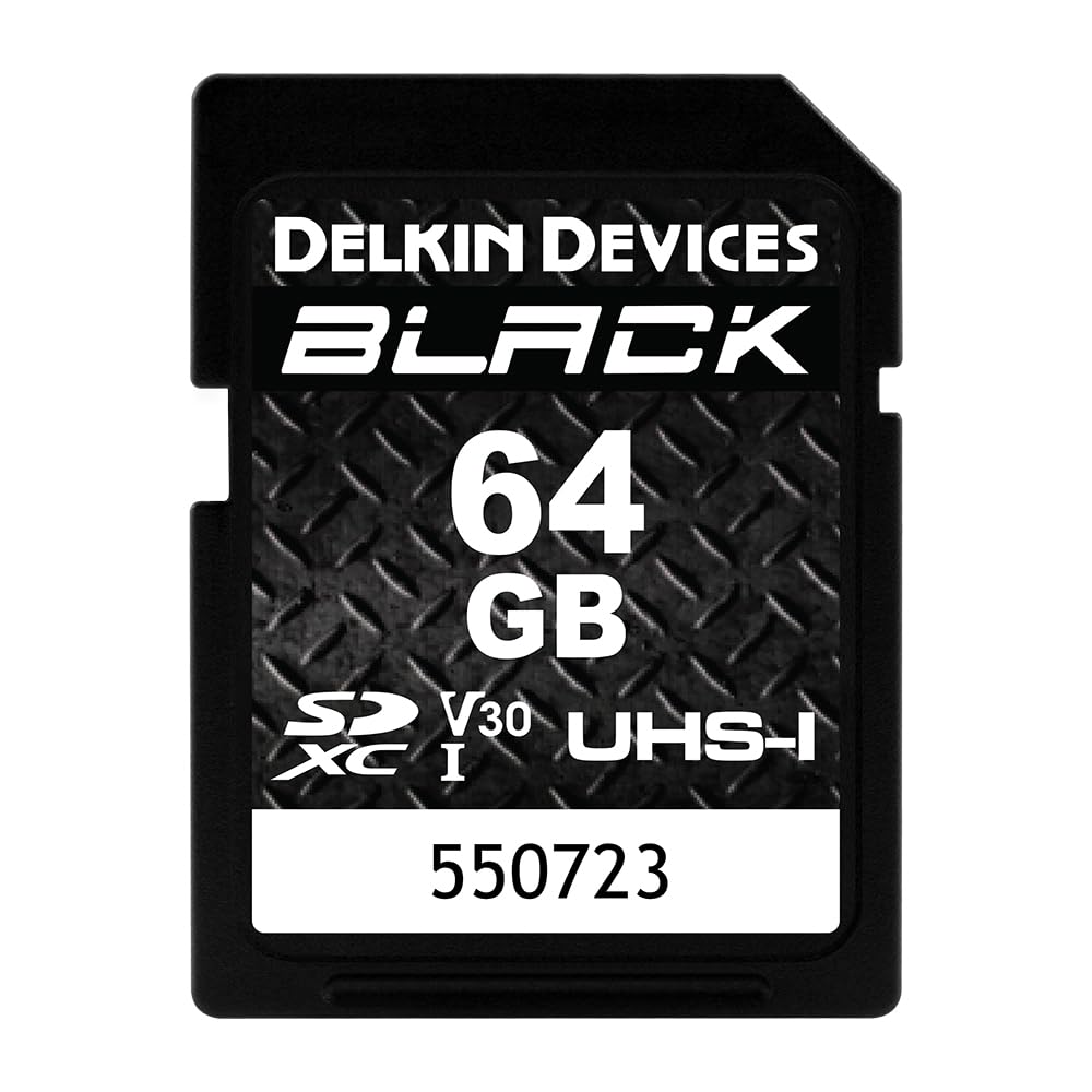 Delkin Devices Black Rugged SDHC Memory Card, UHS-I, C10, U3, V30, Full HD & 4K Video, Up to 90MB/s Read, 90MB/s Write (64GB)