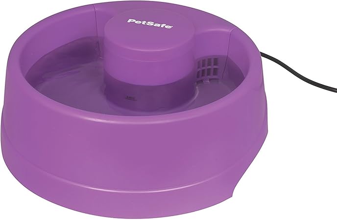 eastgate petsmart adoption event