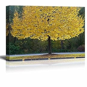 Canvas Prints Wall Art - Canadian Yellow Tree with Highlighted Branches in a Park | Modern Wall Decor/Home Decoration Stretched Gallery Canvas Wrap Giclee Print. Ready to Hang - 12" x 18"