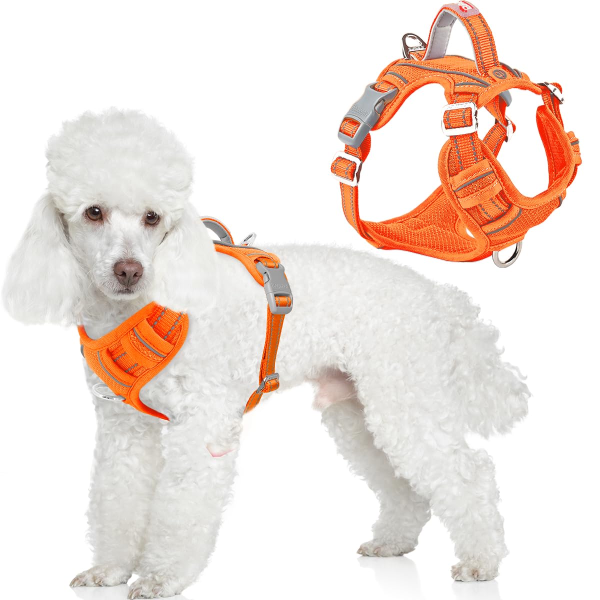 BARKBAY No Pull Dog Harness Front Clip Heavy Duty Reflective Easy Control Handle for Large Dog Walking with ID tag Pocket(Orange,S)