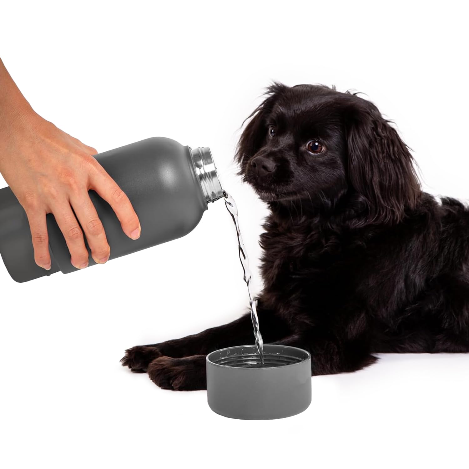 Ubbi Stainless Steel Insulated Portable 32 oz. Water Bottle for Dogs and Owners with Attached Dog Bowl, Charcoal