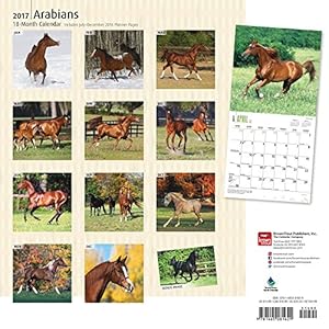 Arabians 2017 Square (Multilingual Edition)