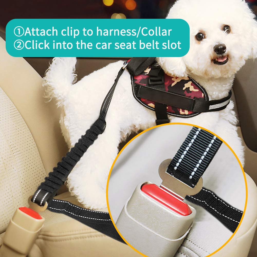 long bungee dog lead