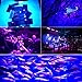 Byshun UV LED Flood Light,10W Ultra Violet Blacklight IP65 Waterproof for DJ Stage Lighting,Outdoor Garden Backyard Party,UV Body Paint,Plant Growth Light,Aquarium,Curing,Fishing