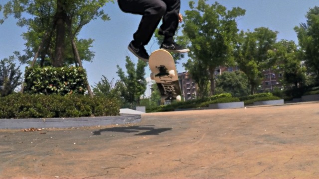 6 DINBIN+Skateboard+Complete+Skateboards+Canadian