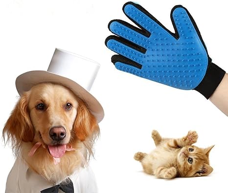 Gant De Toilettage Massage Chiens Chats Brosse De Nettoyage Pour Animaux Hepooya Gant De Massage Chien Chat Fourrure Brosse De Bain Epilateur Toilettage Gant En Caoutchouc Grooming Noir Et Bleu Amazon Fr Animalerie Gant De Toilettage Massage Chiens Chats Brosse De Nettoyage Pour Animaux Hepooya Gant De Massage Chien Chat Fourrure Brosse De Bain Epilateur Toilettage Gant En Caoutchouc Grooming Noir Et Bleu Amazon Fr Animalerie