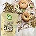 go Raw Sprouted Seeds,Sunflower and Pumpkin Seed,13 Ounce (Pack of 2)