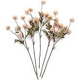 Laelfe Artificial Pompon Mum, 5Pcs Fake Kiku Flowers Silk Small Mini Chrysanthemum Ball Faux Mum Decor for Vase Filler DIY Bouquet Centerpieces Arrangements Shower(Beige)