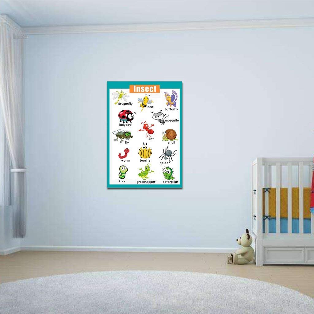 4 Pieces Laminated Educational Preschool Posters For Toddlers