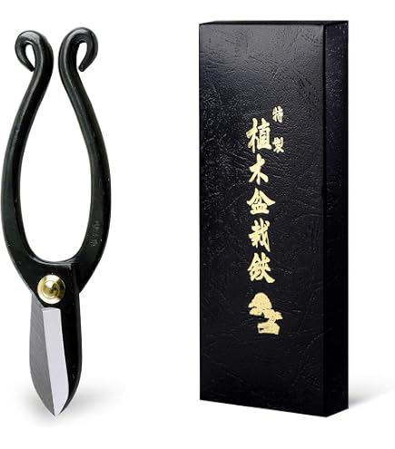 Amazon.com: Kotobuki Round Kenzan Flower Arranging Frog, 3-1/8