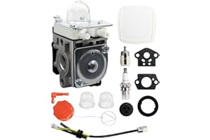 TOFCBYE Loveinlast Carburetor With Air Filter & Gaskets Kit Fit for Echo PB-2520 Leaf Blower Replaces A021004700 A021000722 A021000723, silver